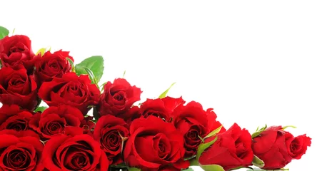 Foto auf Acrylglas rote Rosen © Anna Khomulo