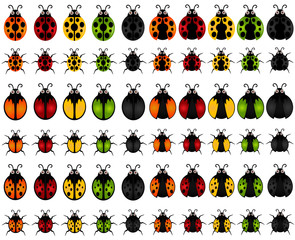 A set of Vector Insect Icons : ladybird / ladybug / beetle