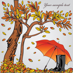 Autumn composition. Vector illustration eps.10.