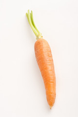 Carrot