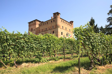 Fototapeta na wymiar Winnice i zamek w Grinzane Cavour.