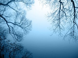 Seeufer im Nebel Querformat
