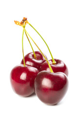 Red ripe cherries over white background