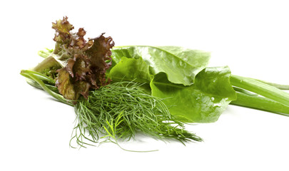 Salad leaves, onion and dill