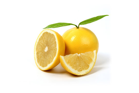 pompelmo estivo