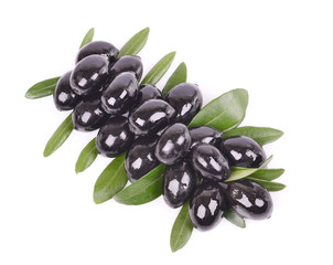 Olives, green leaves, twigs, isolated white background