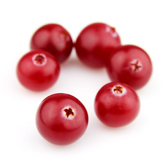 Sweet cranberry in closeup