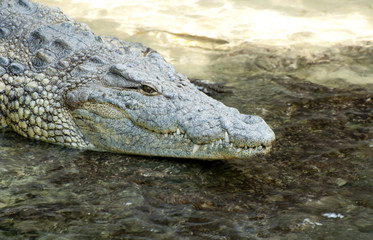 Going for a swim?