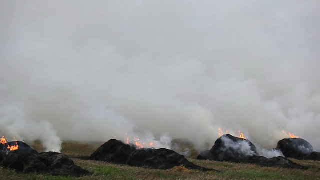 burning grass