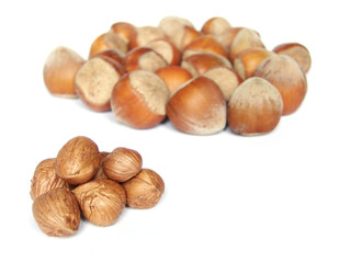 hazelnuts