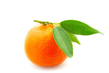 tangerine