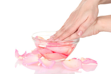 Beautiful female hands and rose petals