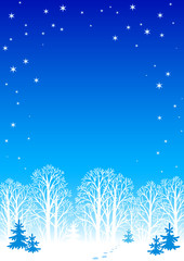 Winter night background