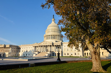 Obraz premium Capitol Building in Washington DC USA in Autumn