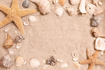 Fototapeta na wymiar Seashell border on sand