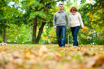 Couple holding hands and walking in autumn park - obrazy, fototapety, plakaty
