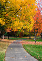 Autumn at the park