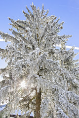 winteridylle in oberbayern