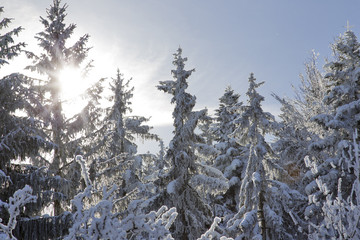 winteridylle in oberbayern