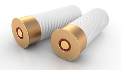 Shotgun Cartridges