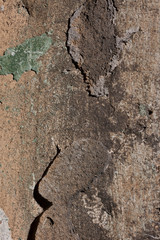 Trying to destroy plaster