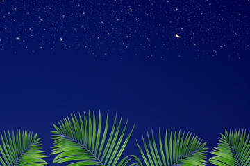 Fototapeta na wymiar Leaves on Stars in the night sky background