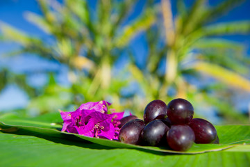 Tropical fruit