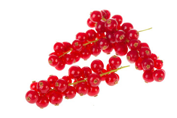 Red currants