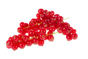 Red currants