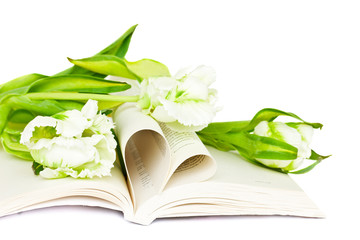 open book with heart of pages and flowers isolated on white
