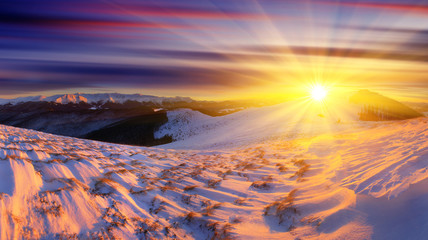 Fototapeta premium winter