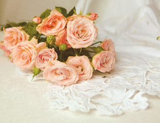 pink roses on a white background