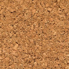 Cork Texture