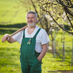 portrait of a senior man gardening in his garden