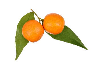 oranges with leaves