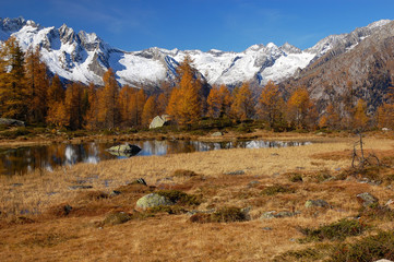 Fototapeta na wymiar Szczyty i modrzewi jesienią w Val di Genova, Trydent