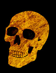 golden skull
