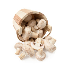mushrooms champignon scattered from a wooden bucket  isolated on