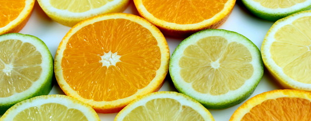 Citrus slices banner