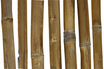 The natural bamboo frame. A white background.