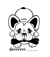 French Bulldog comic