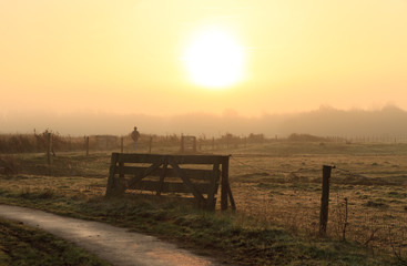 Fototapeta premium Countryside