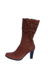 woman shoe on a white background