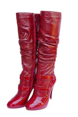 woman shoe on a white background