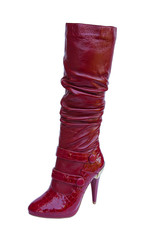 woman shoe on a white background