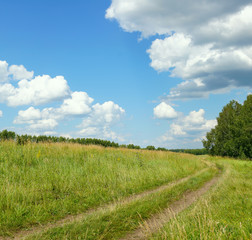 beautiful summer landscape with a country-road