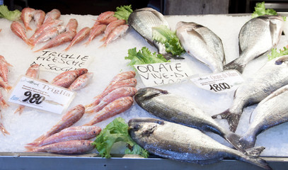 Fish market near Rialto, Venice