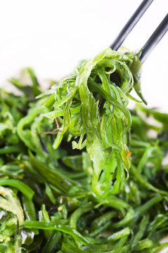 Fresh seaweed salad