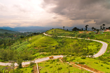 Curly Road avec champ vert au Népal