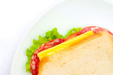 tasty juicy sandwich